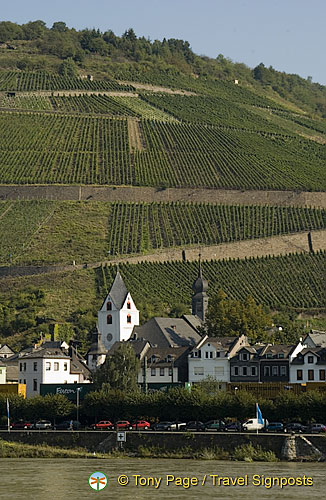 [Rhine Castles - Rhine River Cruise - Germany]