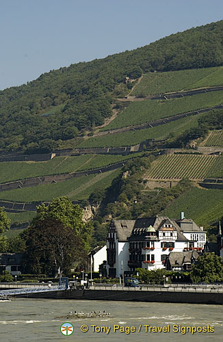 [Rhine Castles - Rhine River Cruise - Germany]