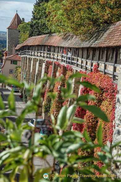 Autumn is a colourful time on the wall