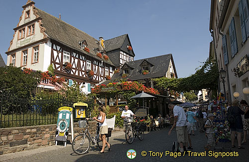 Rudesheim - Rhine River Cruise