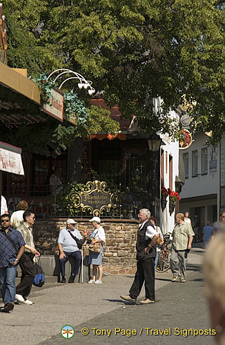 Rudesheim | Rhine River Cruise