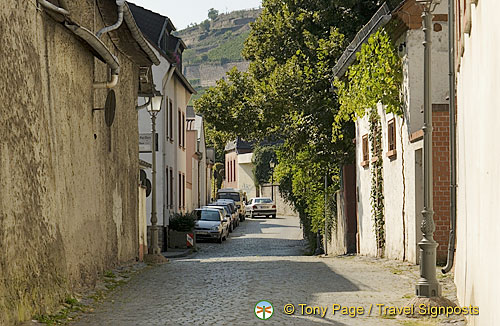 Rudesheim | Rhine River Cruise