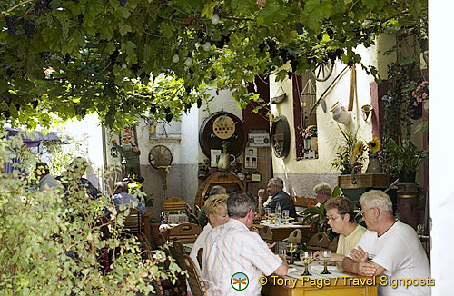 Rudesheim | Rhine River Cruise