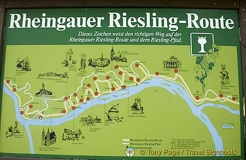 For those interested in doing the Riesling Route