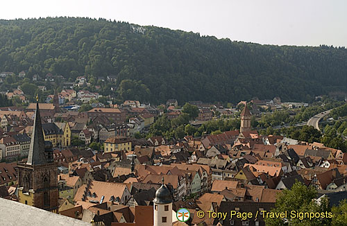 [Wertheim - Main River Cruise - Germany]