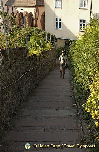 [Wertheim - Main River Cruise - Germany]