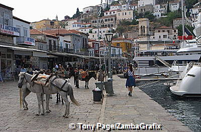 Donkeys waiting for passengers
[Hydra - Greece]