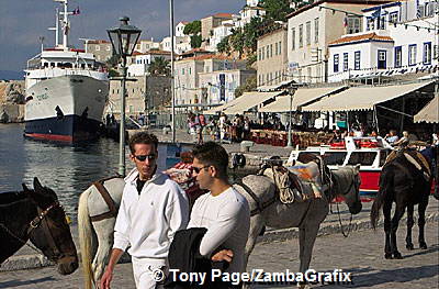 Donkeys waiting for passengers
[Hydra - Greece]