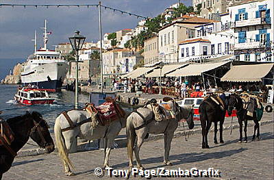 Donkeys waiting for passengers
[Hydra - Greece]