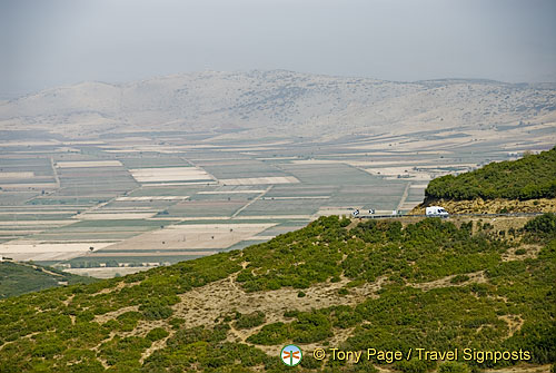 On the Road to Delphi