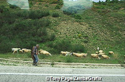 From the Greek Coast to Metsovo