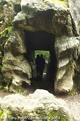 Blarney Castle and Gardens