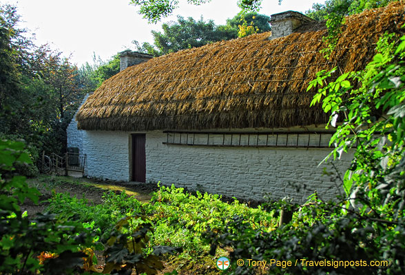 View of Shannon farmhouse