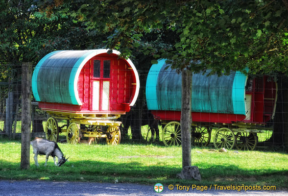 Traveller wagons