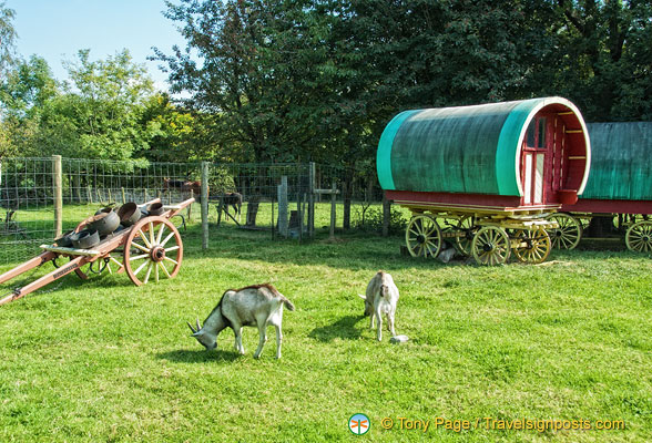 Traveller wagons