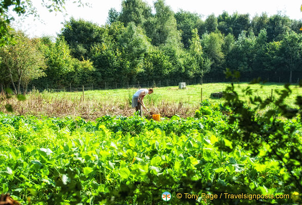 Folk park gardens