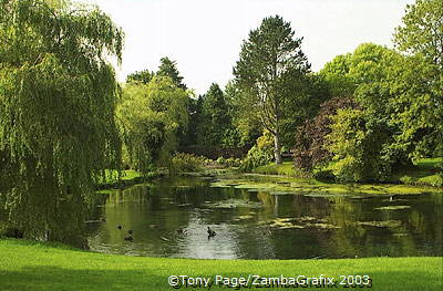 Irish National Stud grounds