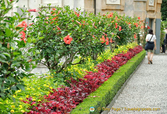 Isola bella garden colours