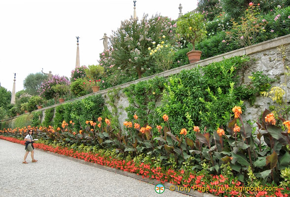 Isola Bella's varied vegetation