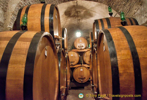 Contucci wine cellar