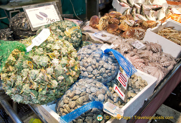 Garusoli murici, vongole and octopus