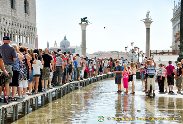 During acqua alta, the passarelle (walkways) are put up very quickly