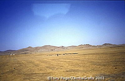 Ourika Valley and Berber Market