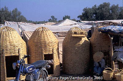 Ourika Valley and Berber Market