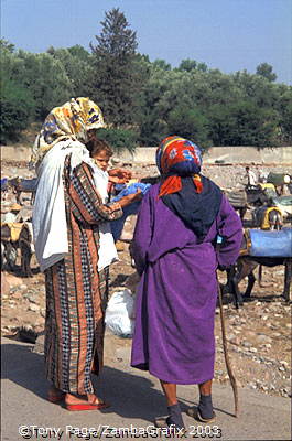 Ourika Valley and Berber Market