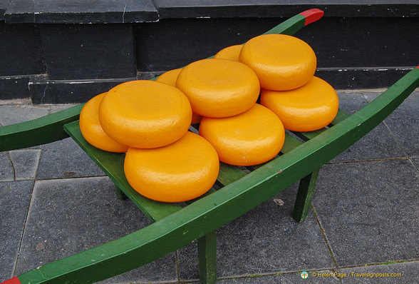 The famous Dutch Gouda