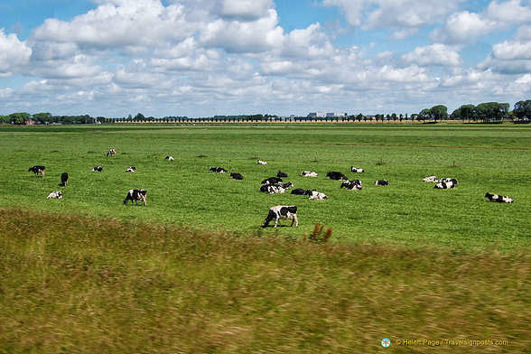 Beautiful Edam countryside