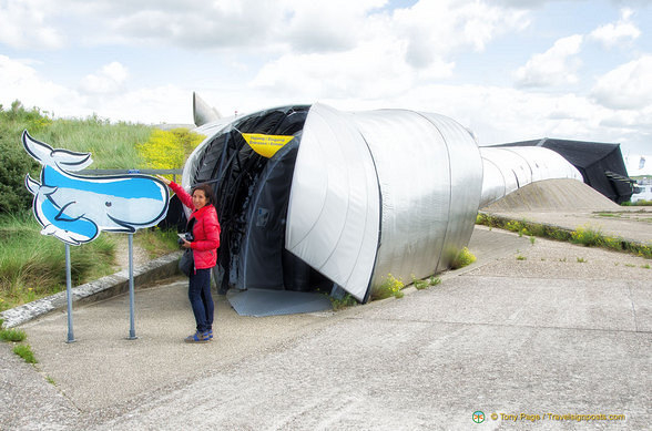 Entrance into a whale