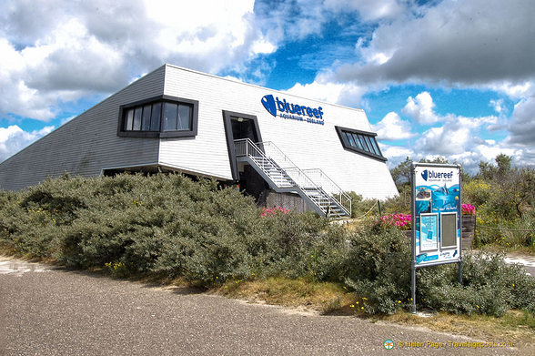 The Bluereef Aquarium