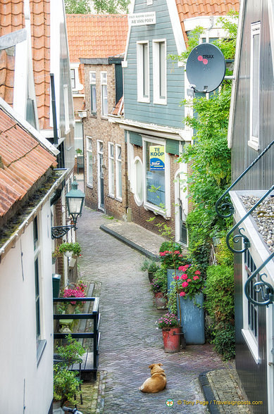 View into an alleyway