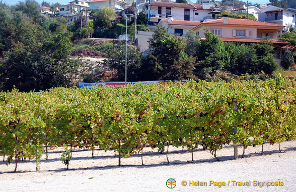 Douro valley, Portugal