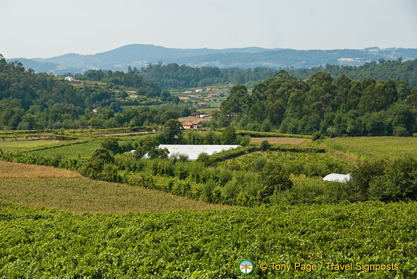 Quinta da Lixa winery, Douro, Portugal