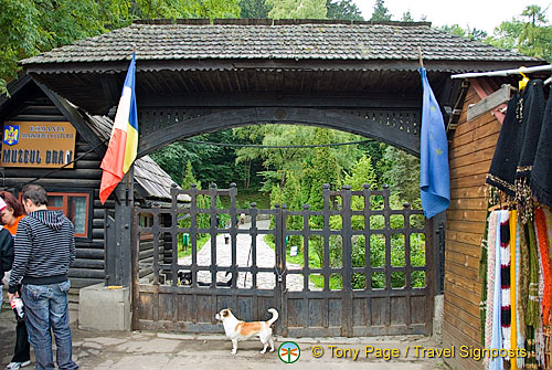 Trip to Bran Castle, Transylvania