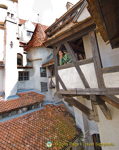 Trip to Bran Castle, Transylvania