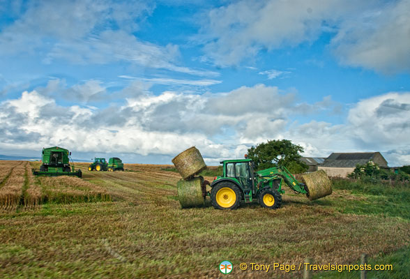 Coastal farmland