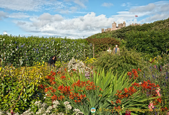 Castle of Mey Gardens