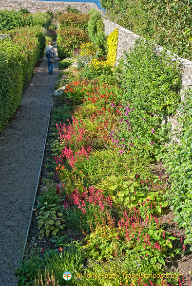 Castle of Mey Gardens supply fruit and flowers to the castle kitchen