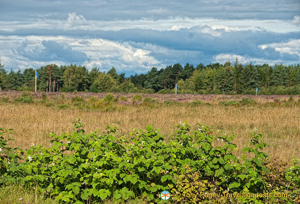 Culloden Battlefield