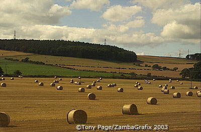 Scottish Border Region