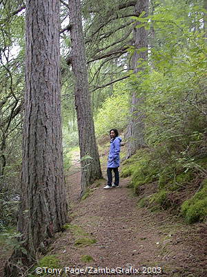 Newtonmore is situated in Britain's largest National Park -The Cairngorms