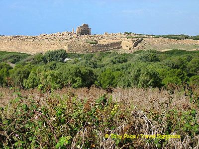 Selinunte | Sicily