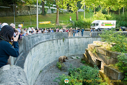 Berne Bear Pits and Rose Garden