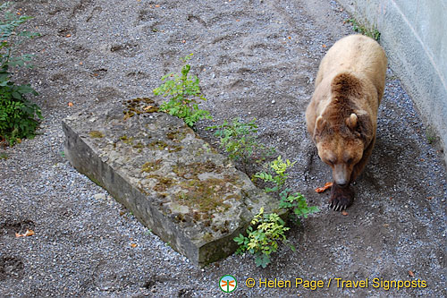 Berne Bear Pits and Rose Garden