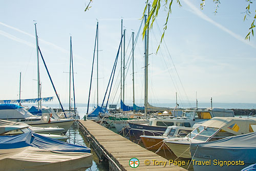 Lac Leman Road to Geneva