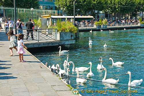 Geneva and Lac Leman