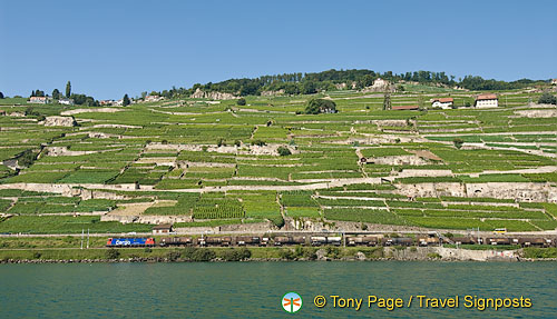 Lac Leman Cruise to Montreux